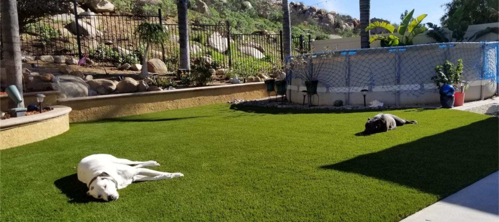 Pet Artificial Grass for backyards, and all pet areas, San Bernardino, CA