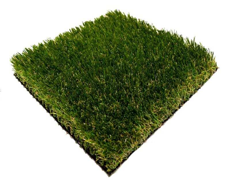 Rhino Fescue Supreme for any landscapes, pet areas San Bernardino CA