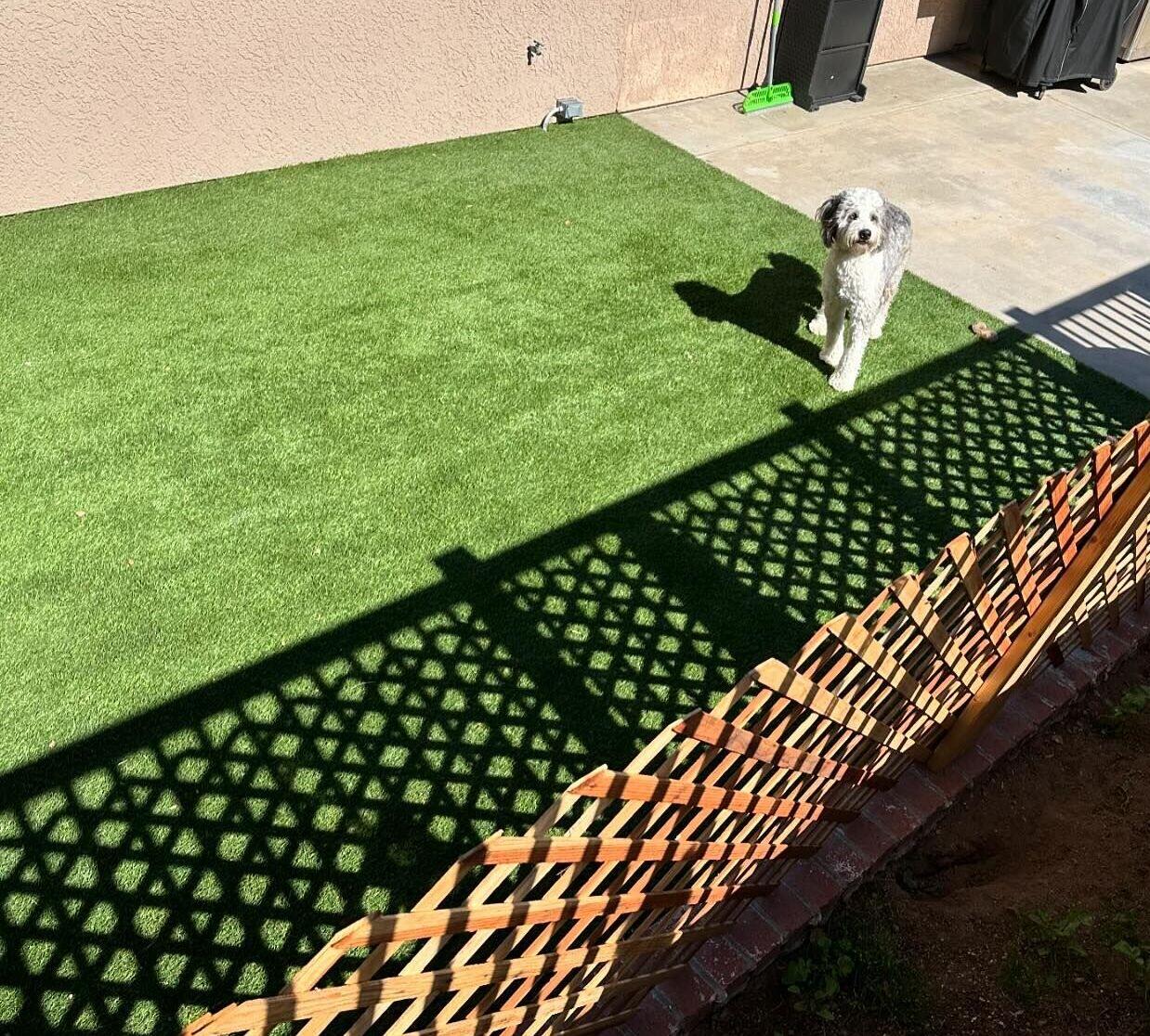 Artificial Grass Infill Replacement, San Bernardino Artificial Grass