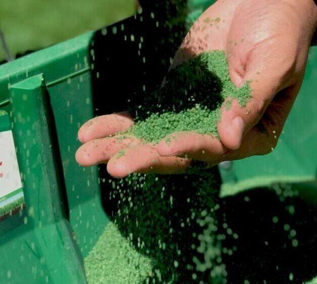 Pet Odor Treatment, San Bernardino Artificial Grass