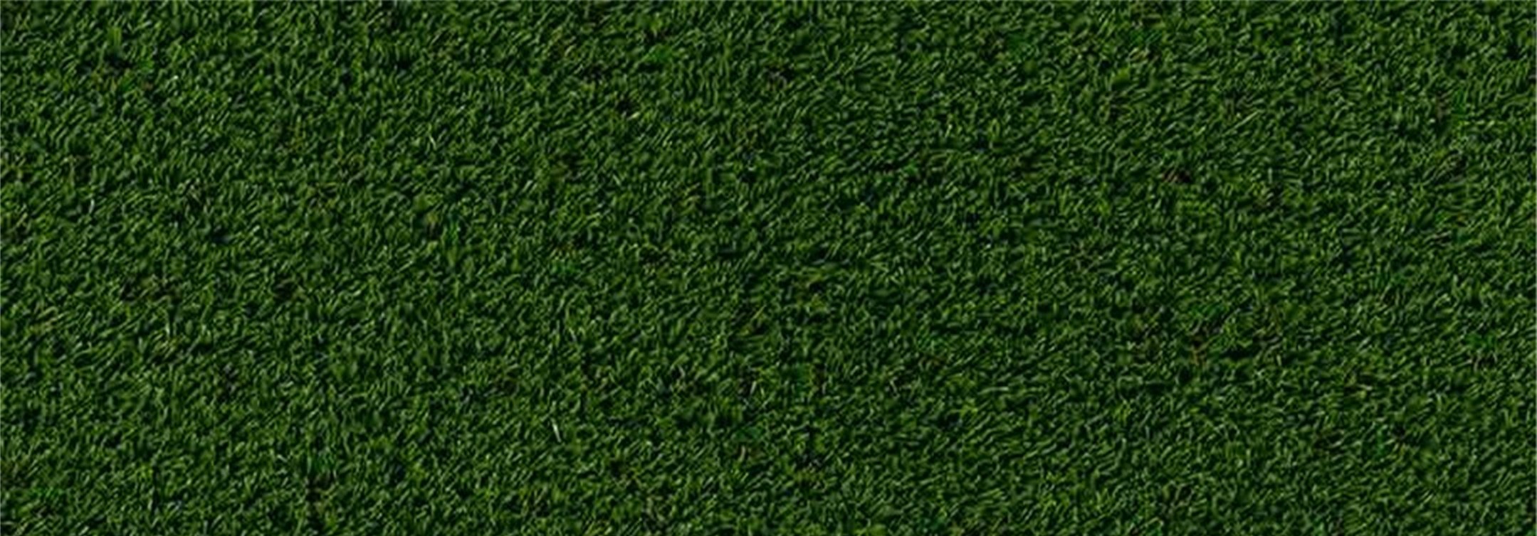 Oakmont Artificial Grass, San Bernardino Artificial Grass